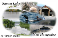 Squam Lake, NH - Collage